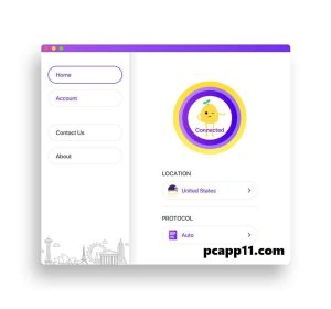 Potato VPN for PC