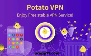 Potato VPN for PC