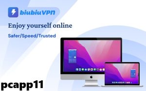 BiuBiuVPN