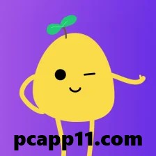 Potato VPN for PC
