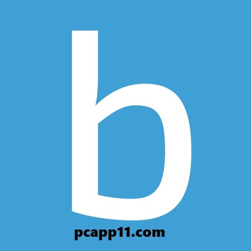 Blink App for PC