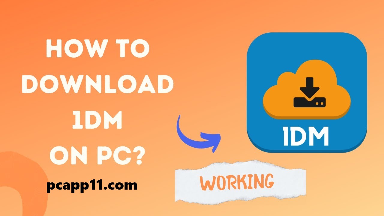 1DM for PC