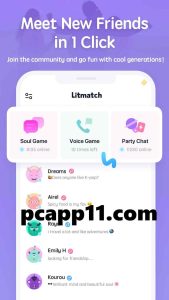 litmatch for pc