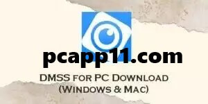 DMSS for PC