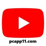 BiuBiuVPN for PC Download 2024 Full Free Version