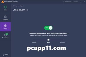 Avast Internet Security