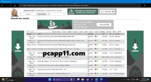1dm Browser for PC