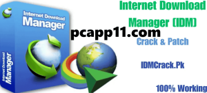 IDM Download Manager Crack 2024