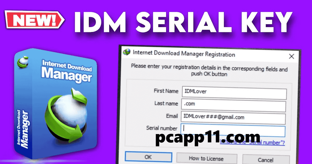 IDM Download Manager Crack 2024