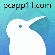 kiwi Browser PC