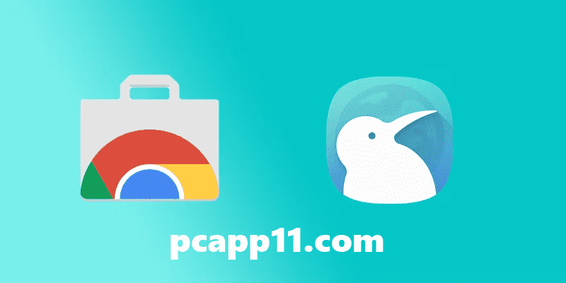 kiwi Browser PC