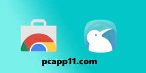 Kiwi Browser for PC