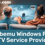 kiwi Browser PC Download free version (File Setup)
